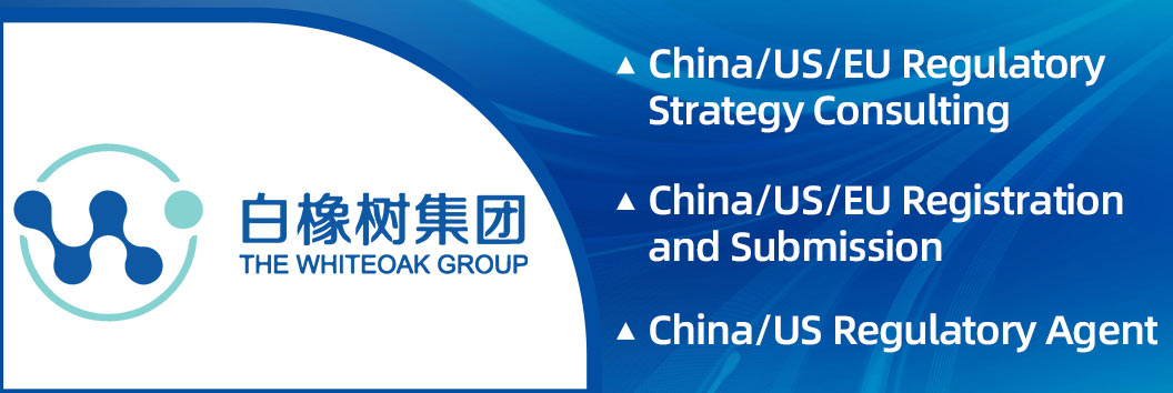 China/US/EU Regulatory Strategy Consulting