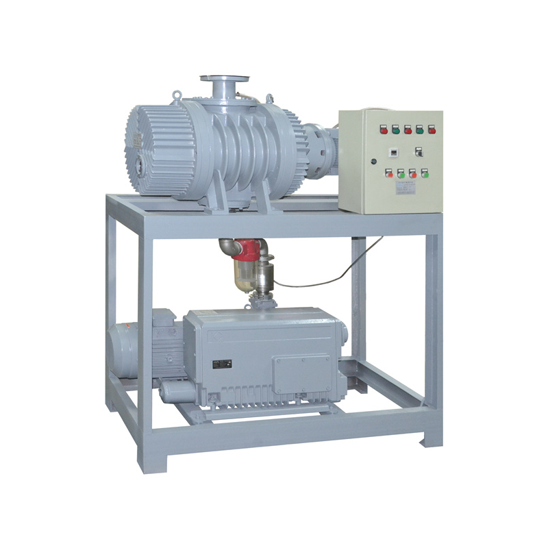 rotary vane vacuum system