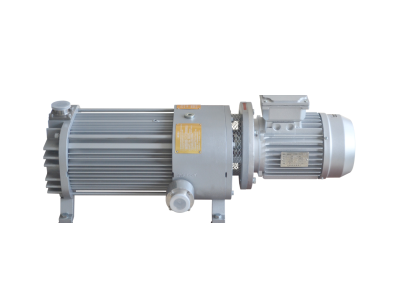 All-Scenario Vacuum Technology Solutions: Core Advantages of DPS and DPSB Series