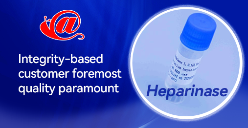 Asnail  Heparinase
