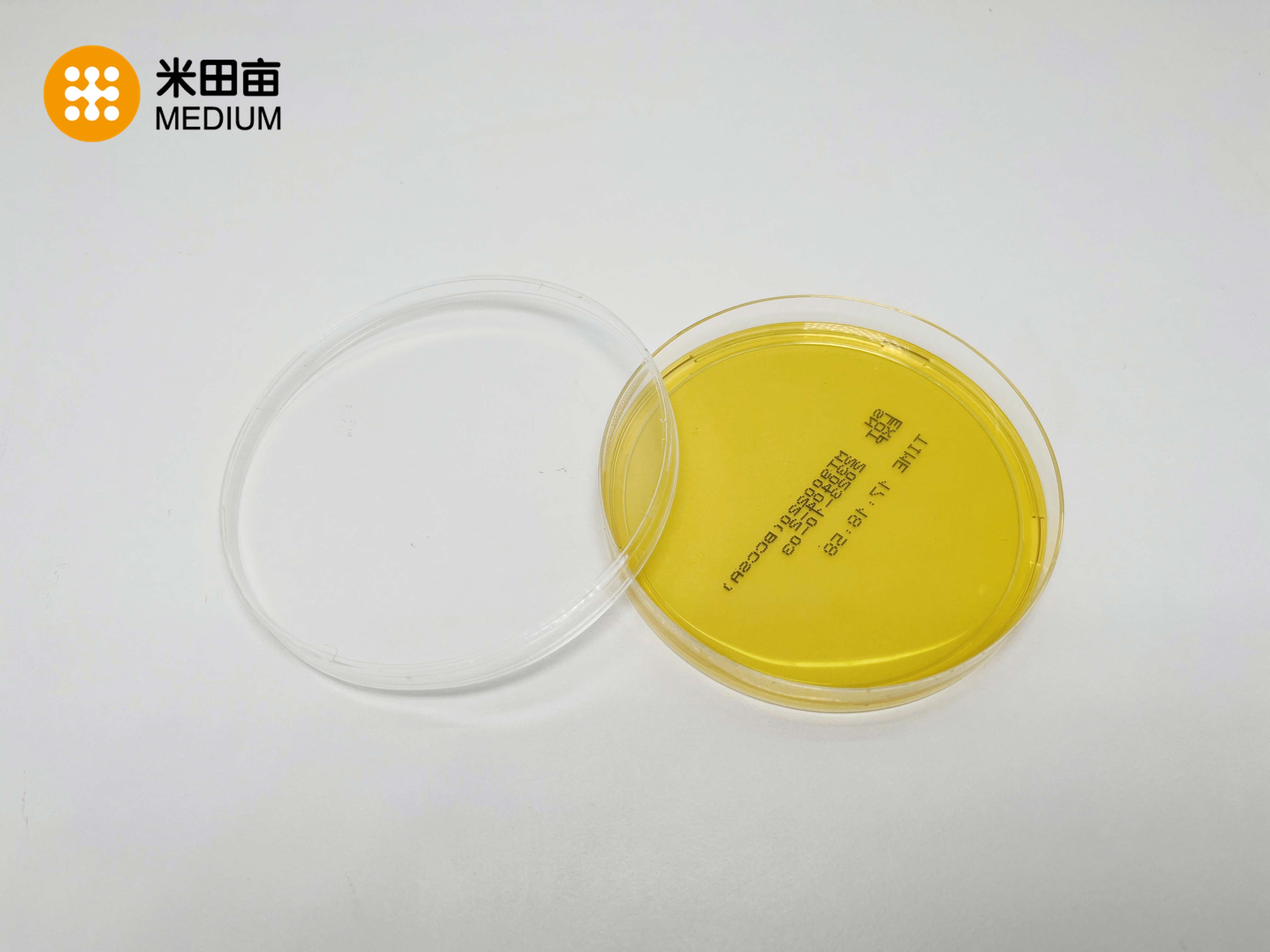 Analysis of On-site Inspection Defects for Pharmaceutical Water Systems